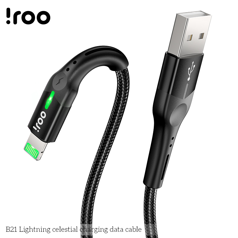 iRoo B21 | Dual LED Lights Lightning USB Cable