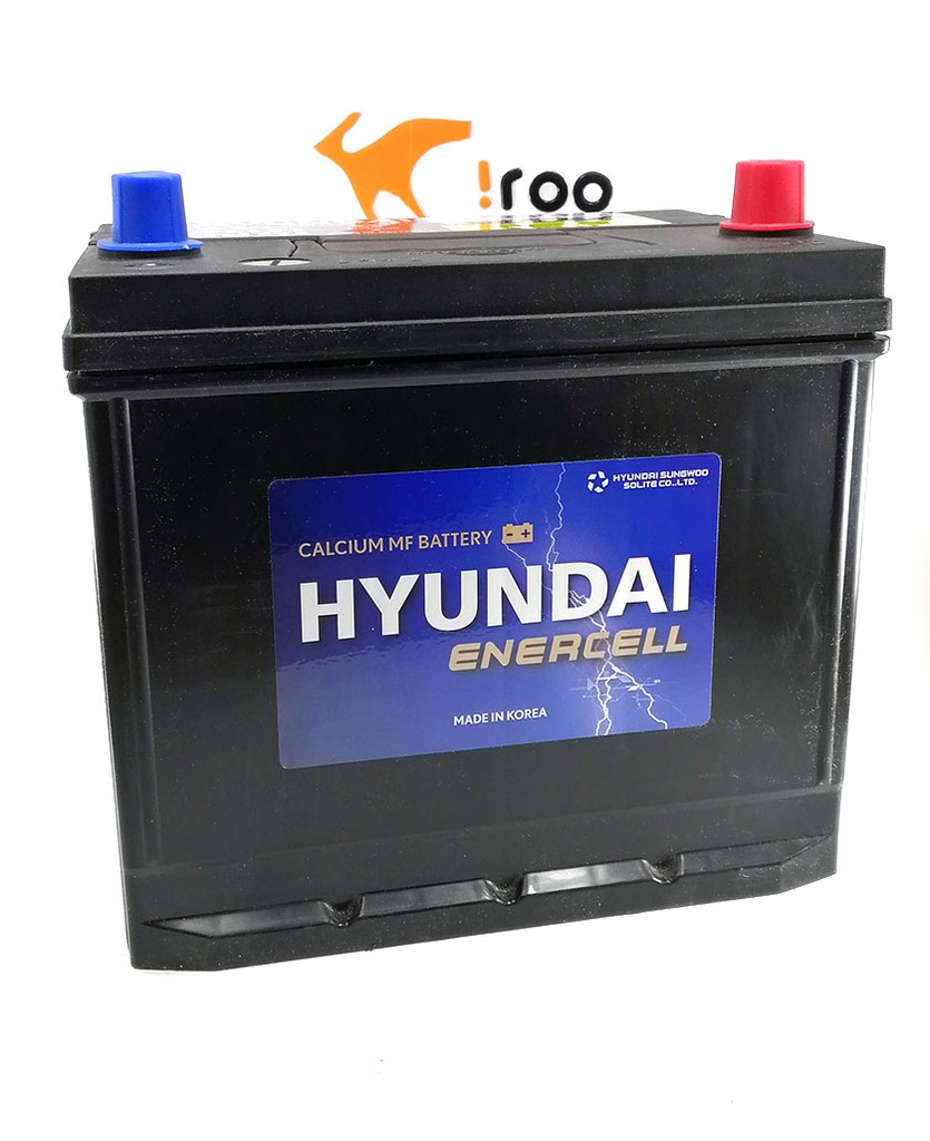 Hyundai 55B24LS (236x128x200) CCA:480 [L] [NS60SL]